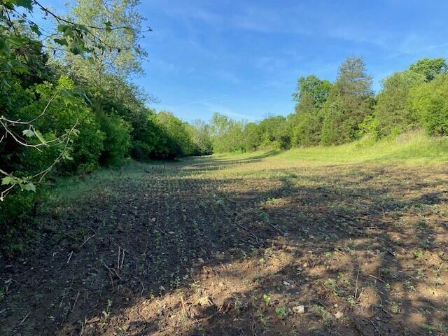 0 Mann Road Mount Olivet, KY 41064 - Photo 10 of 46