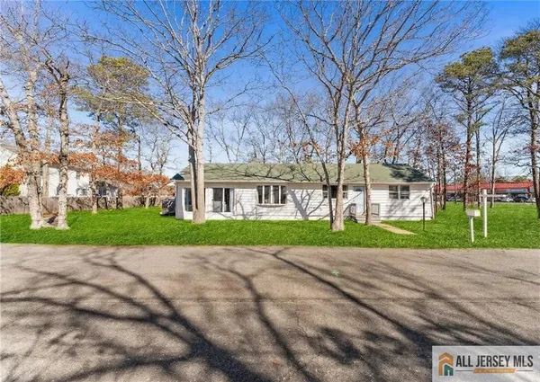 a view of road with large trees