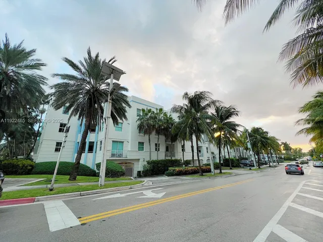 a palm tree sitting on a sidewalk next to a road