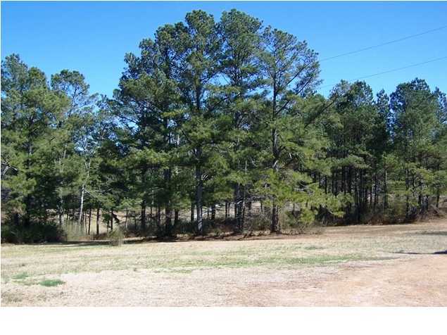496 Kemp Road LaFayette, GA 30728 - Photo 3 of 3 Additional Photo