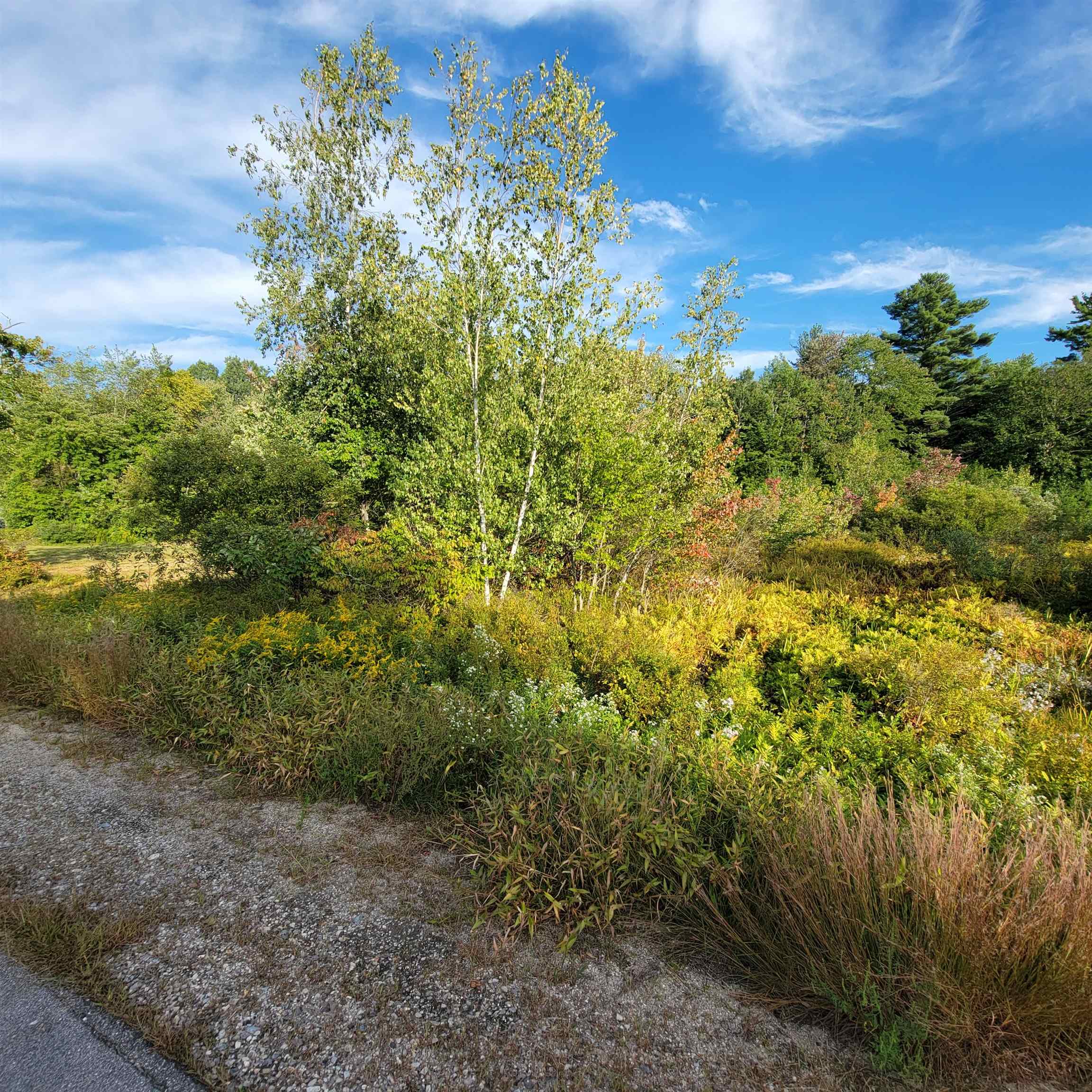 0 Black Hall Road Epsom, NH 03234 - Photo 5 of 6