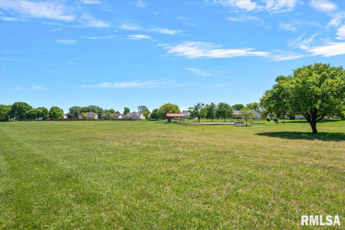 3908 Greenfield Drive Springfield, IL 62704 - Photo 46 of 51
