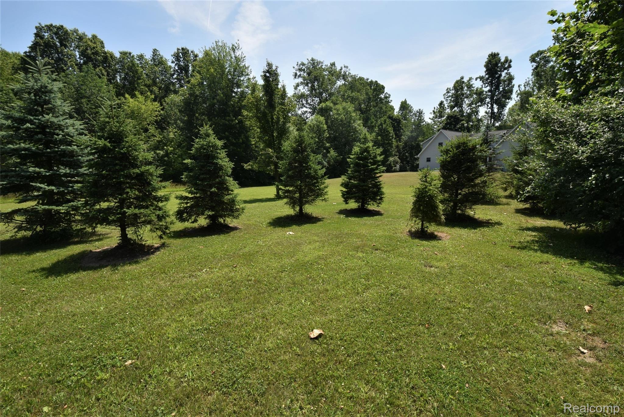 13586 Hannan Road Romulus, MI 48174 - Photo 55 of 64 Serene backyard