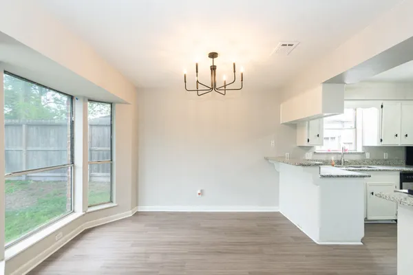 a view of a backyard with plants and large trees