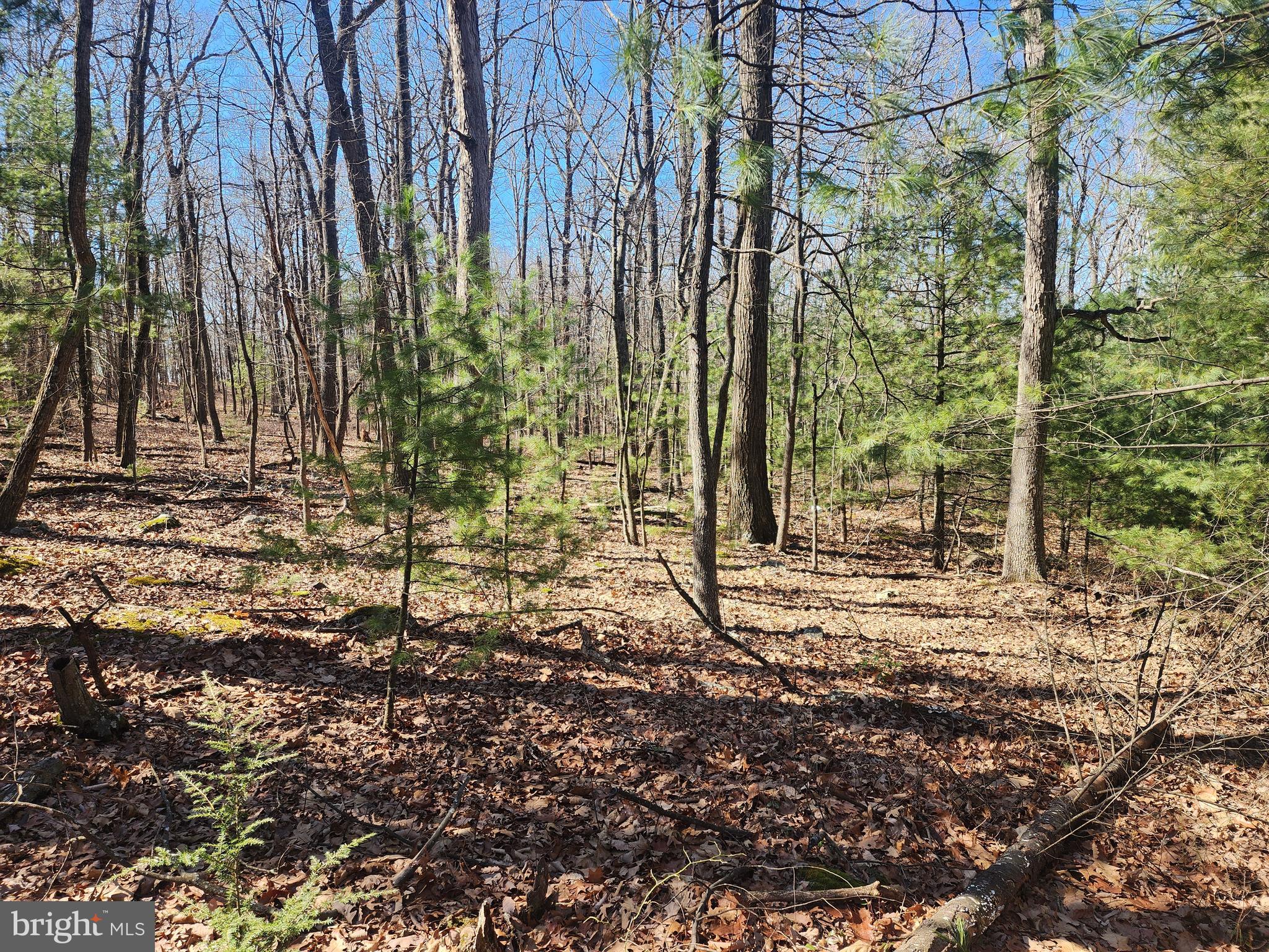 1080 Cove Mountain Road Mathias, WV 26812 - Photo 12 of 44