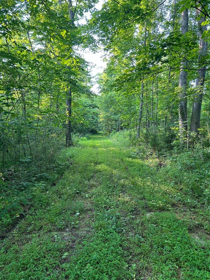 O Guy Jones Road Smiths Grove, KY 42171 - Photo 27 of 34 Gallery Image 27
