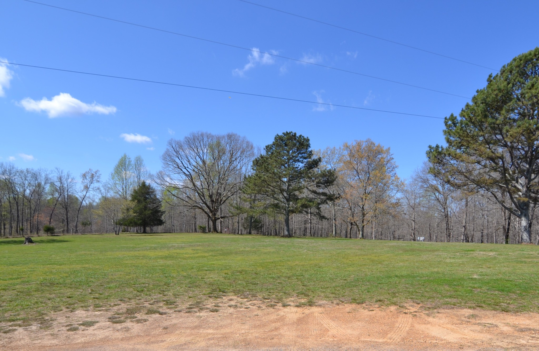 1432 Fall River Road Goodspring, TN 38460 - Photo 17 of 35 a view of a backyard