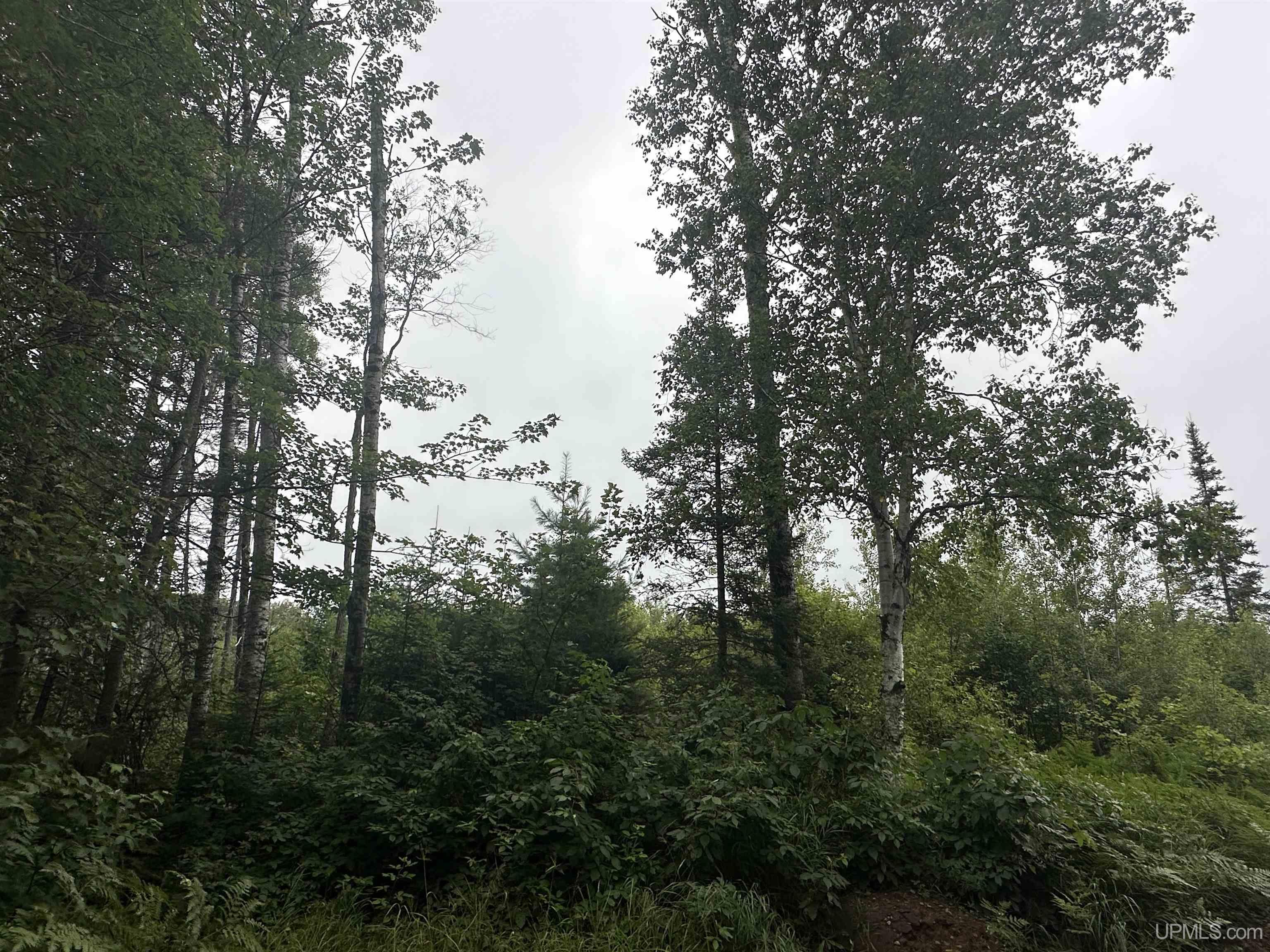 Off Off Boniface Road Michigamme, MI 49861 - Photo 6 of 19 Gallery Image 6
