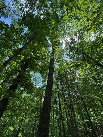 $99,900 | 160 Scenic Circle, Ringgold, GA 30736