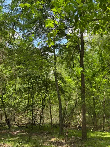 $99,900 | 160 Scenic Circle, Ringgold, GA 30736