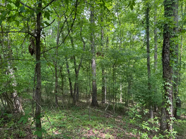 $99,900 | 160 Scenic Circle, Ringgold, GA 30736