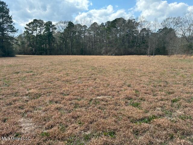 0 Centerville Road Magnolia, MS 39652 - Photo 1 of 8 IMG_0006