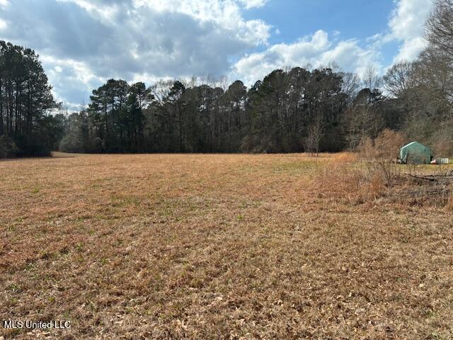 0 Centerville Road Magnolia, MS 39652 - Photo 2 of 8 IMG_0007