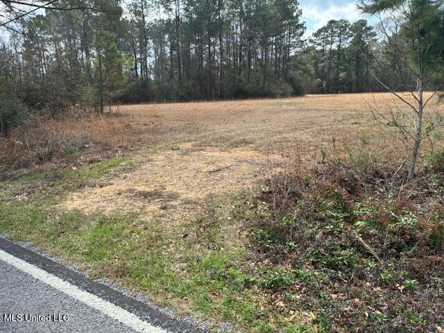 0 Centerville Road Magnolia, MS 39652 - Photo 3 of 8 IMG_0008
