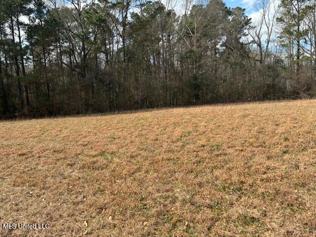 0 Centerville Road Magnolia, MS 39652 - Photo 5 of 8 IMG_0010