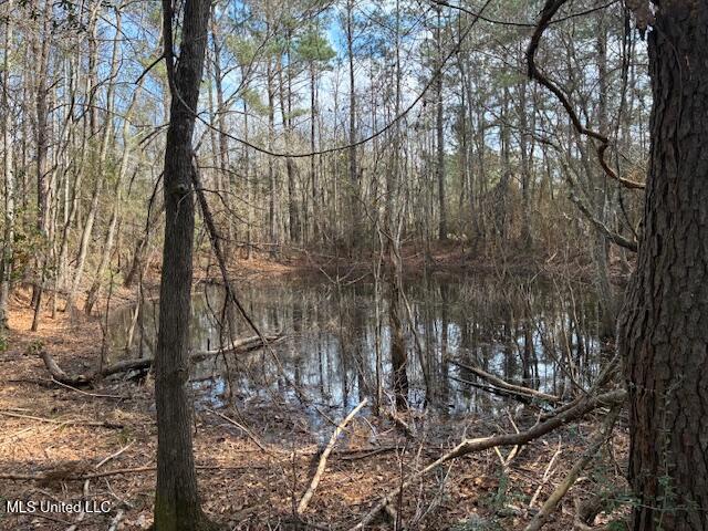 0 Centerville Road Magnolia, MS 39652 - Photo 6 of 8 IMG_0011