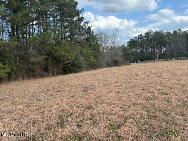 0 Centerville Road Magnolia, MS 39652 - Photo 7 of 8 IMG_0012