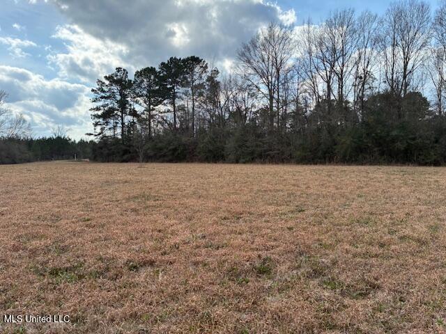 0 Centerville Road Magnolia, MS 39652 - Photo 8 of 8 IMG_0013