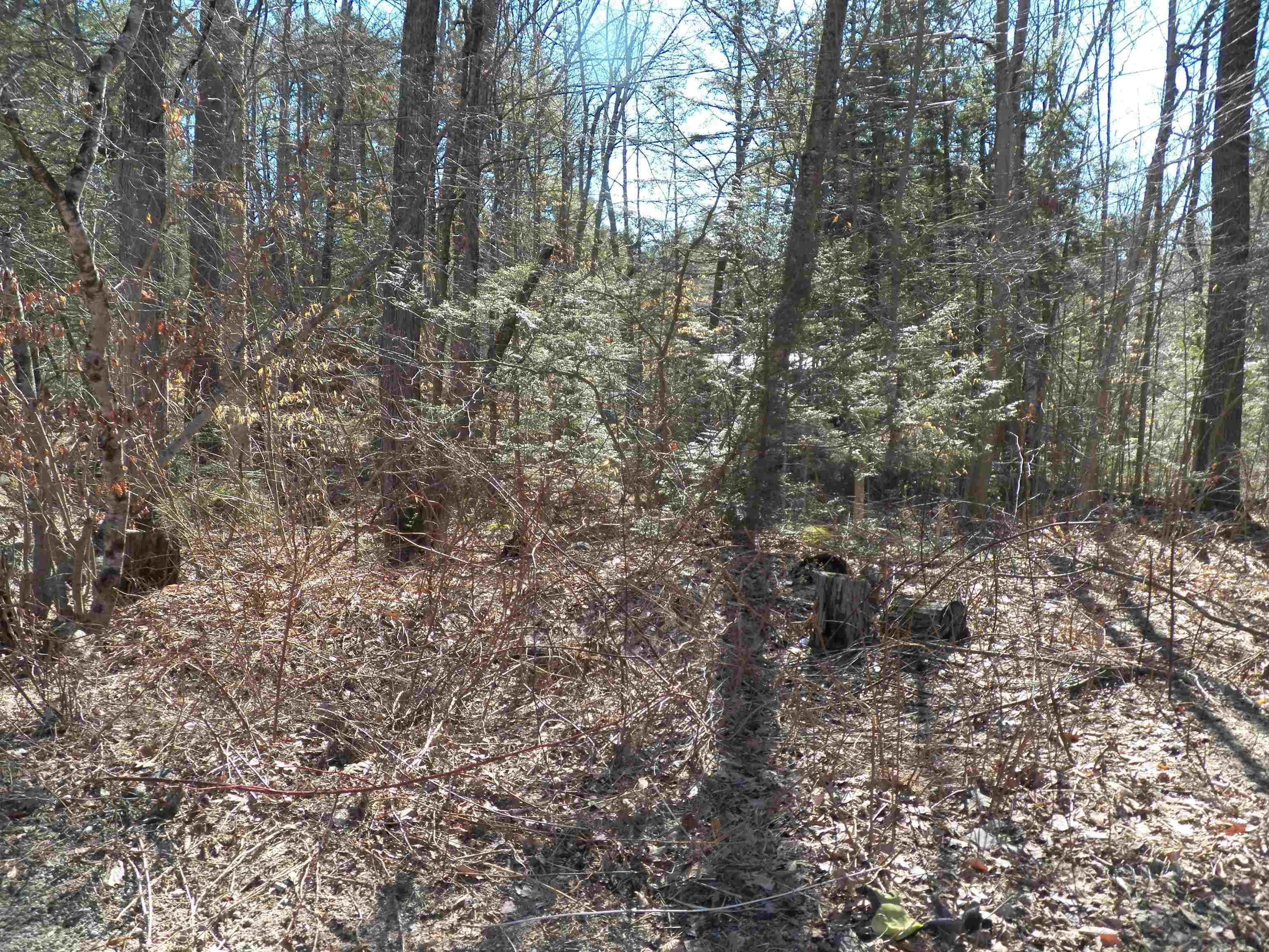 14-194 Seminole Road Hillsborough, NH 03244 - Photo 3 of 24