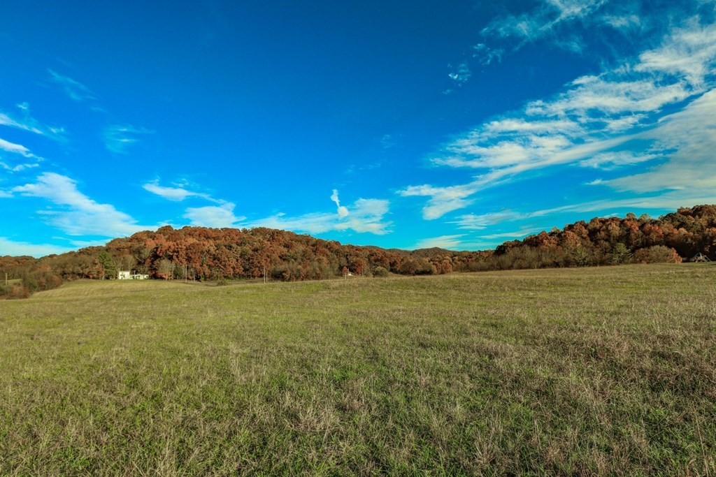 2041 Bluff Road Parrottsville, TN 37843 - Photo 30 of 38 Gallery Image 30