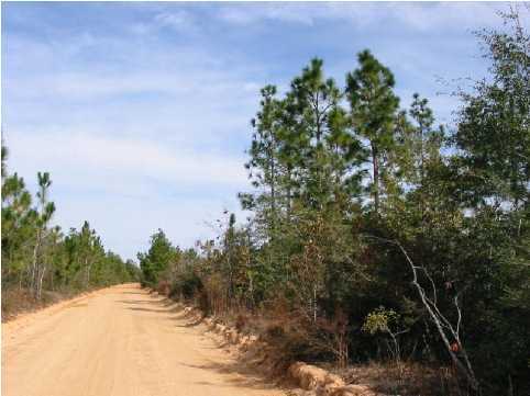 N/a Evans Road DeFuniak Springs, FL 32435 - Photo 4 of 4 Additional Photo