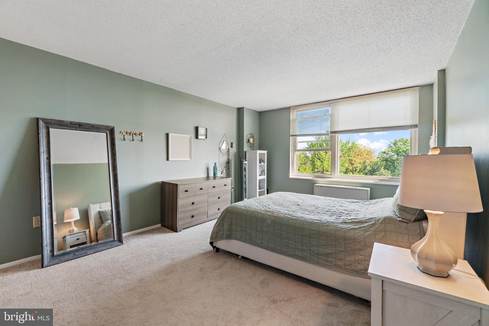 4401 Roland Avenue, Unit 507 Baltimore, MD 21210 - Photo 11 of 26 Primary suite has new paint and carpeting