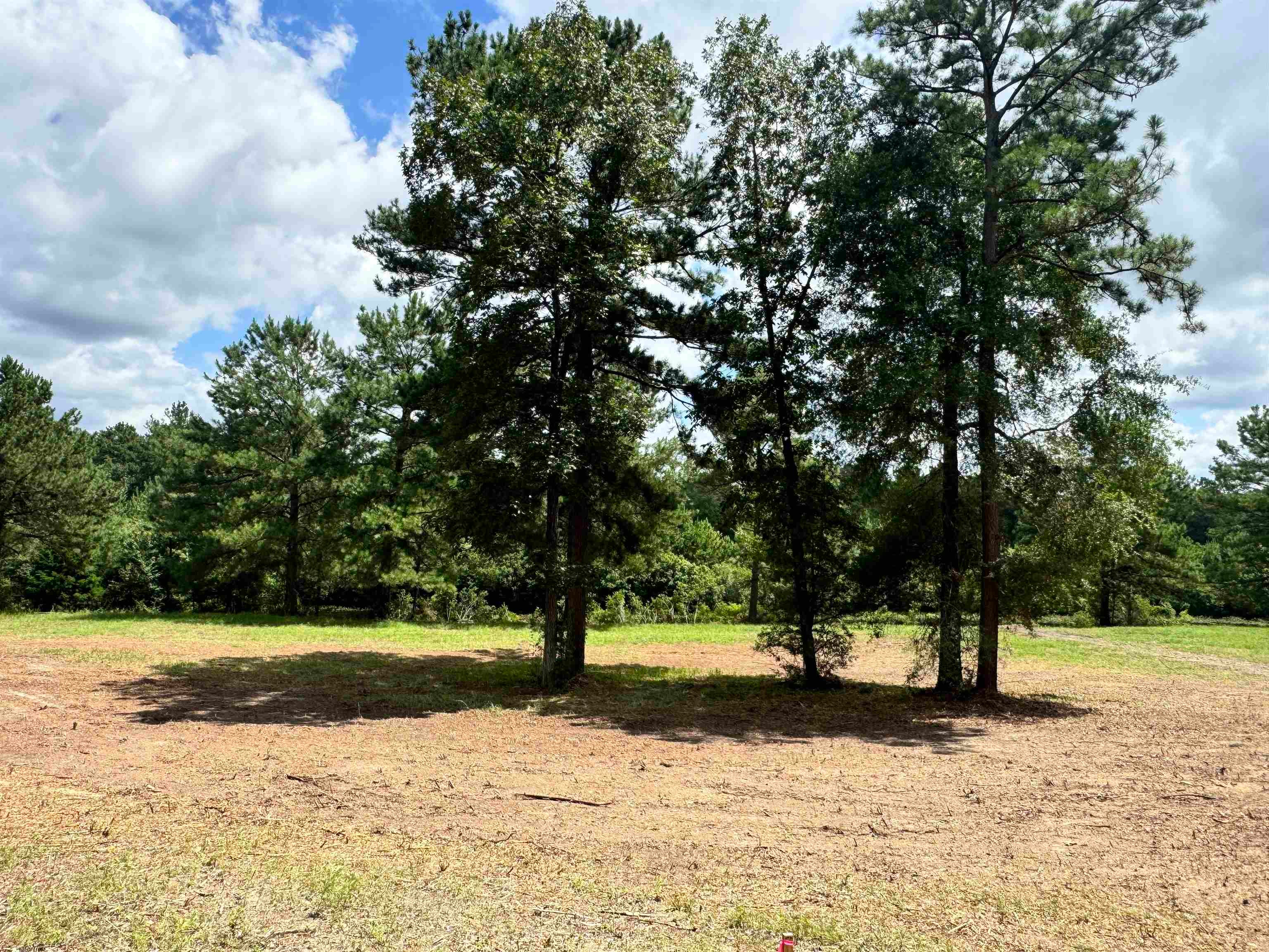 12161 Ridgeview Loop Andalusia, AL 36421 - Photo 11 of 22 Gallery Image 11