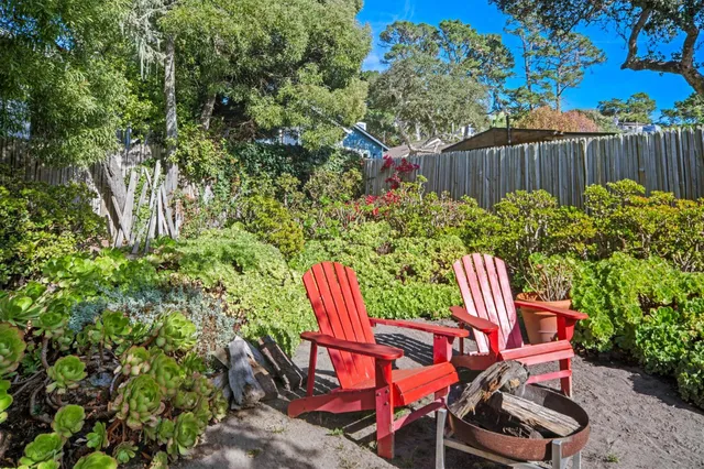 a view of a backyard with plants and chairs