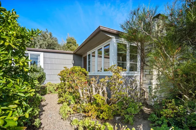 a view of house with tall trees