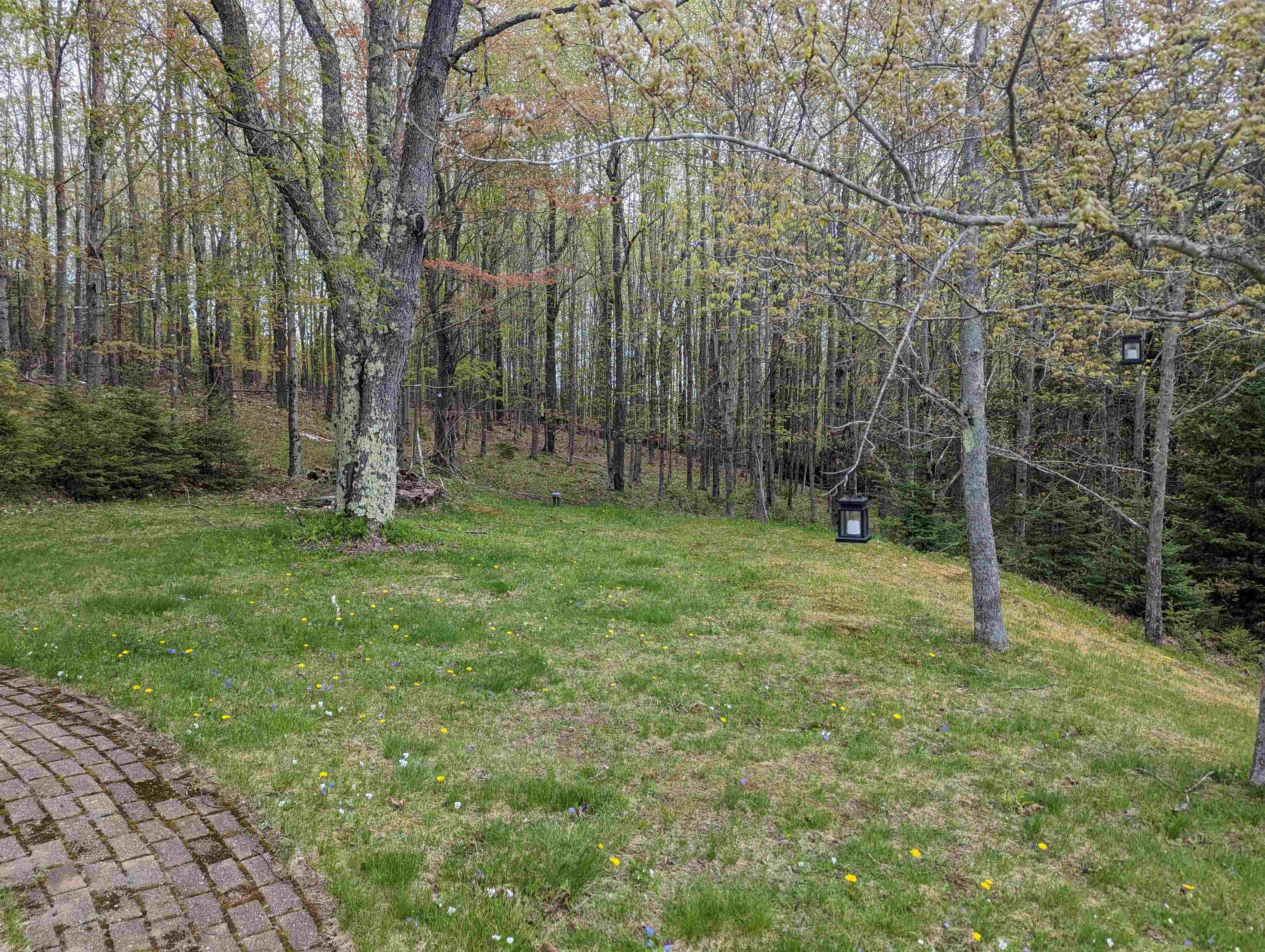 225 Piper Hill Road Colebrook, NH 03576 - Photo 38 of 39