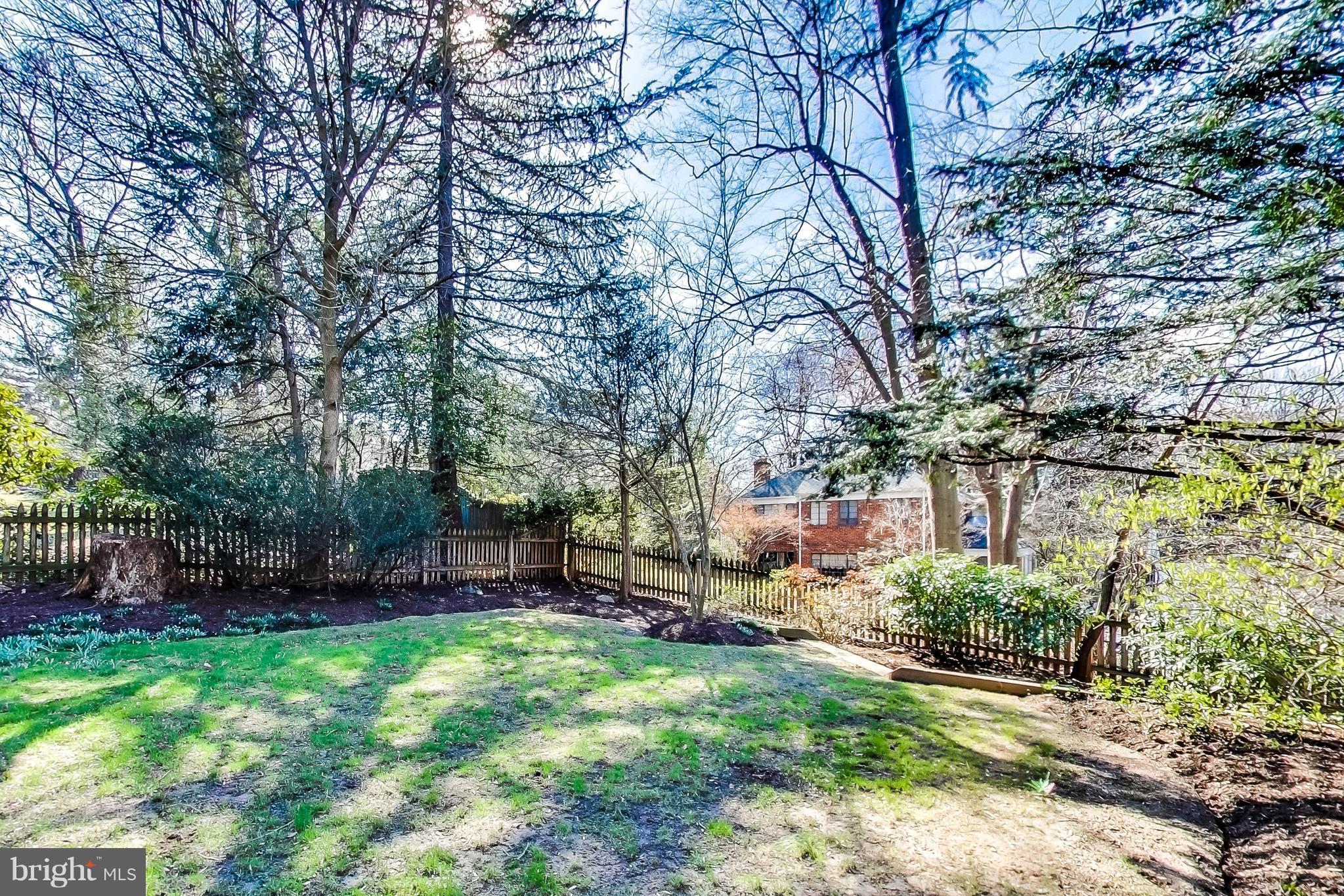 7412 Ridgewood Avenue Chevy Chase, MD 20815 - Photo 27 of 30 Level Yard with Mature Trees & Landscaping