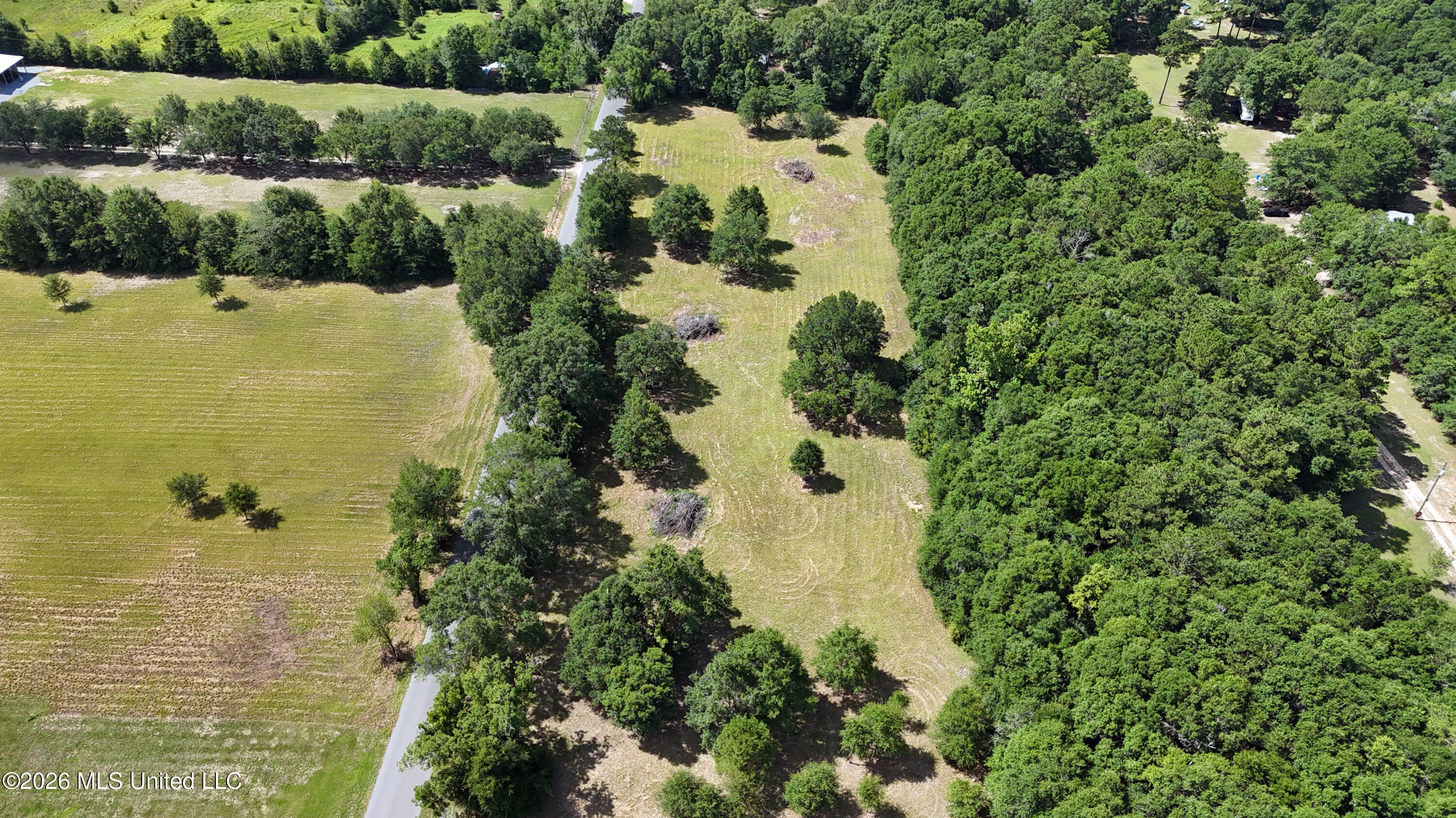 3.67 Waterwell Road Lucedale, MS 39452 - Photo 6 of 16 005 2