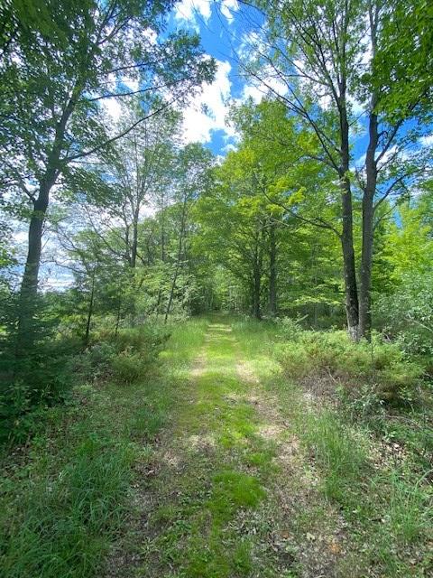 Lot 2 West Meadow Road Fish Creek, WI 54212 - Photo 8 of 40