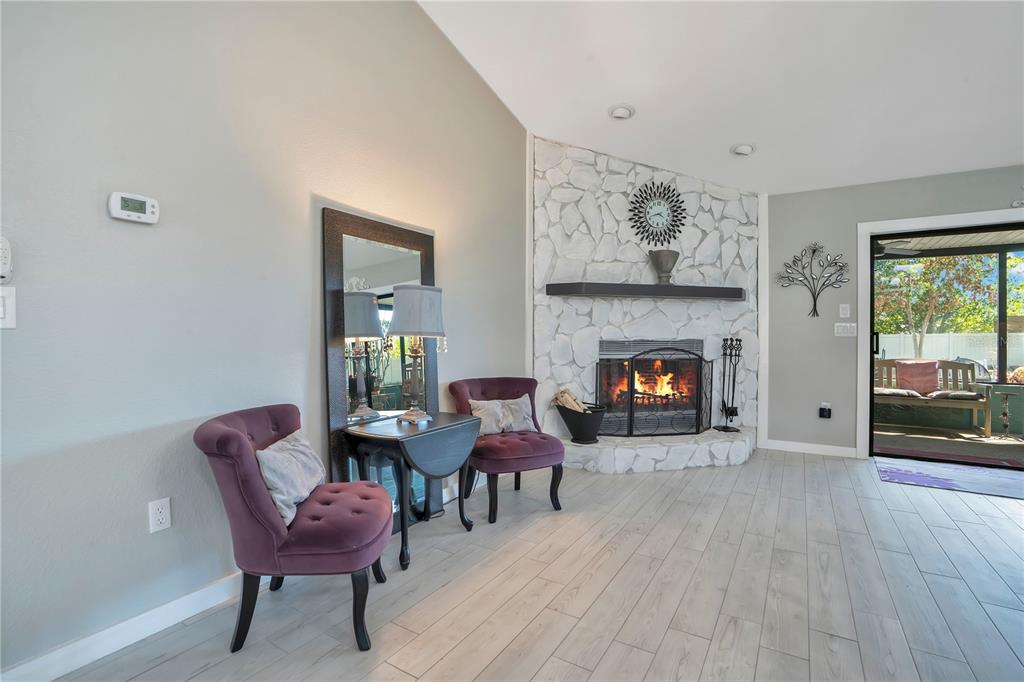 8431 Delaware Drive Weeki Wachee, FL 34607 - Photo 24 of 64 a living room with furniture and a fireplace