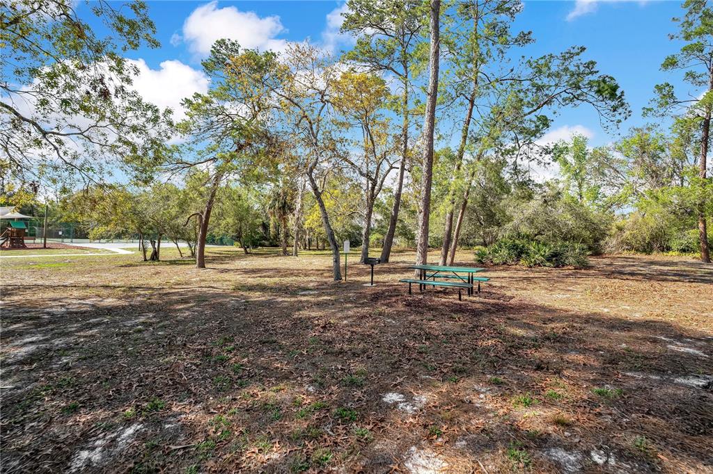 8431 Delaware Drive Weeki Wachee, FL 34607 - Photo 43 of 64 a view of outdoor space with trees