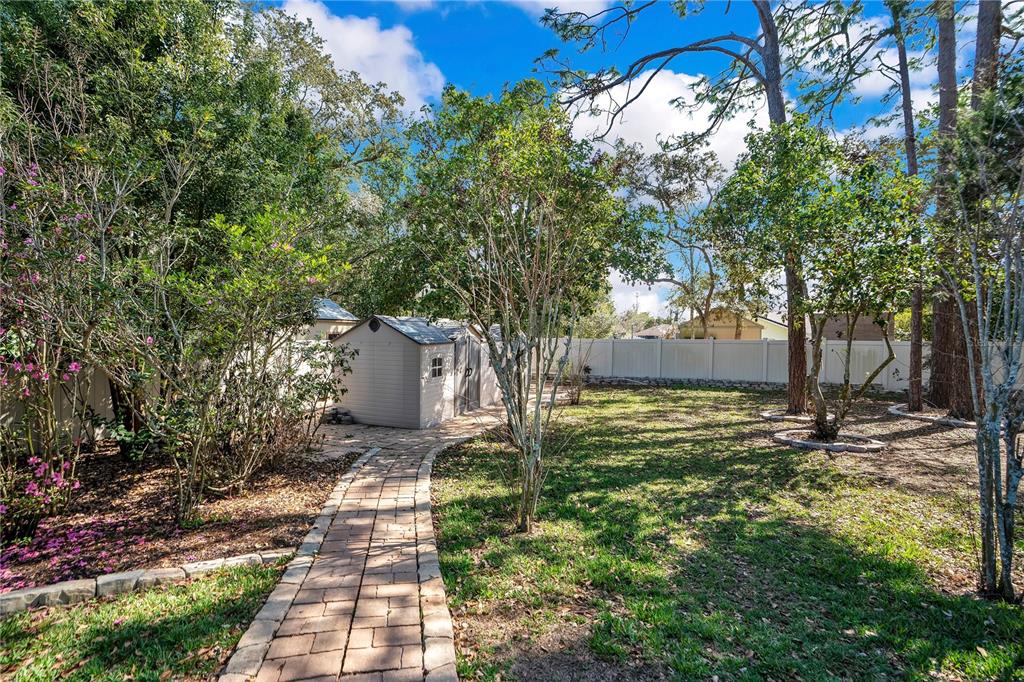 8431 Delaware Drive Weeki Wachee, FL 34607 - Photo 44 of 64 a view of a yard with plants and trees