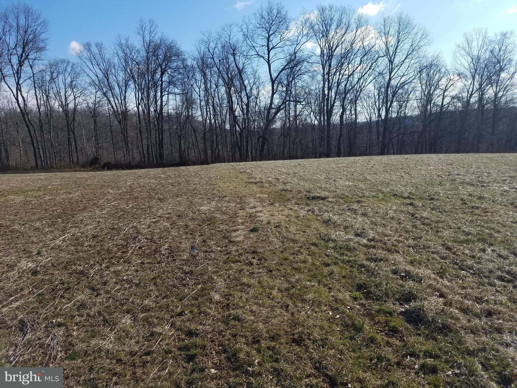 26 Bald Eagle Road Fawn Grove, PA 17321 - Photo 10 of 12 Gallery Image 10