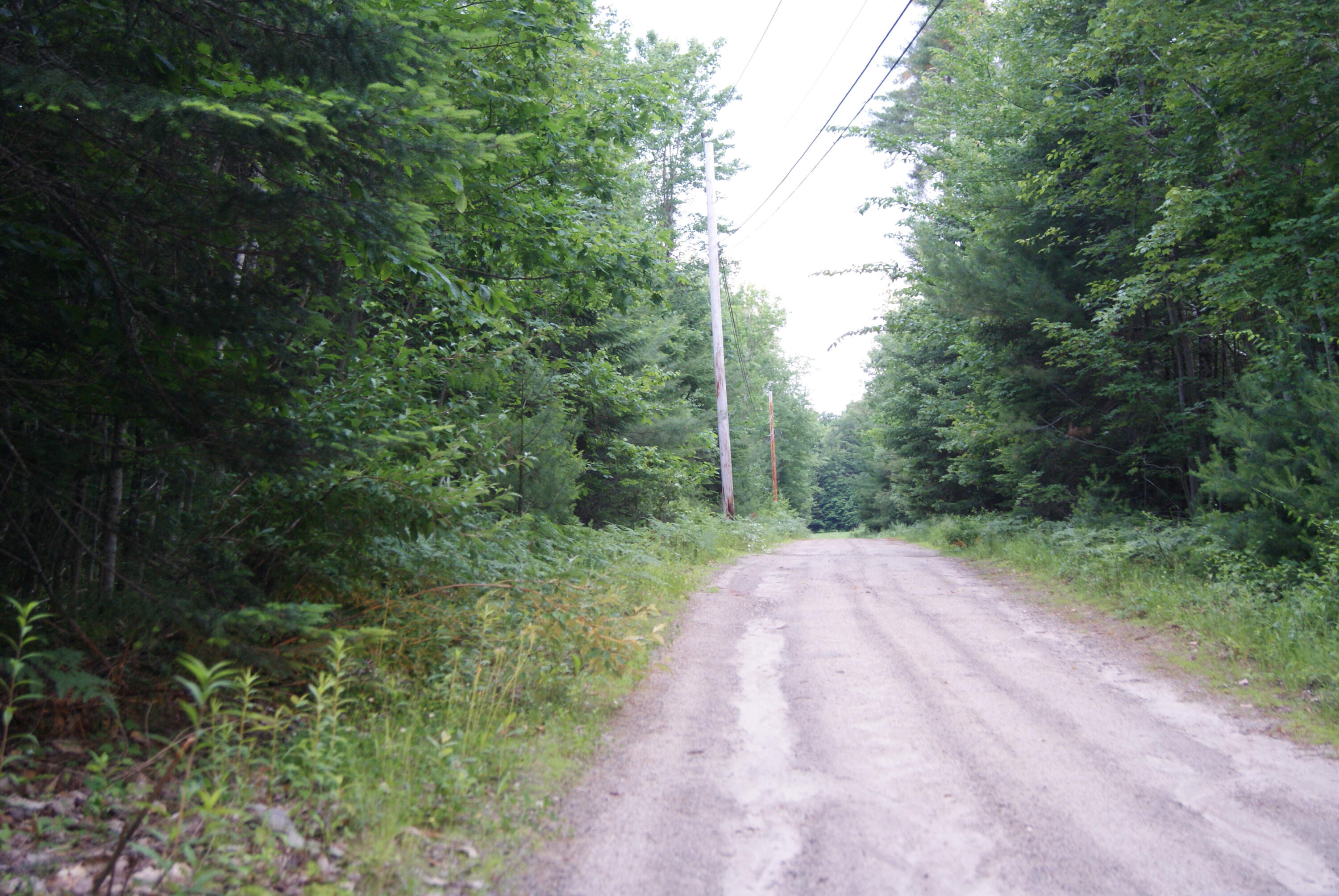 186 Line Road Gorham, ME 04038 - Photo 5 of 52 DSC00498