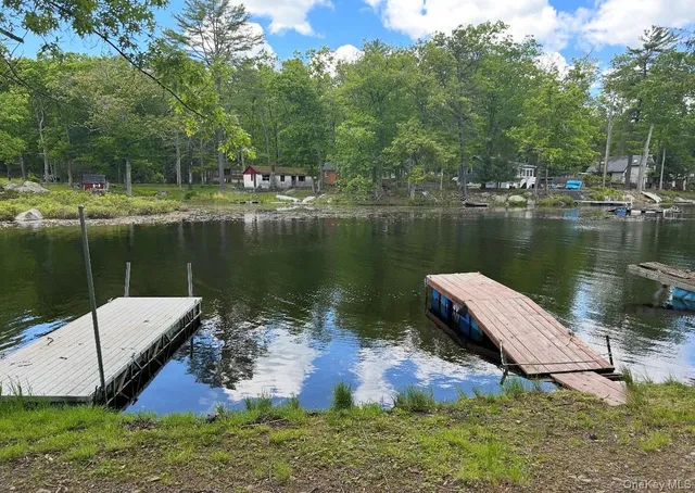 a view of a lake with a park