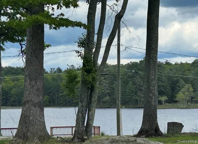 a view of a back yard