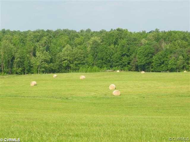 Lot 3 Robertsons Road Blackstone, VA 23824 - Photo 3 of 3 Land/Lot