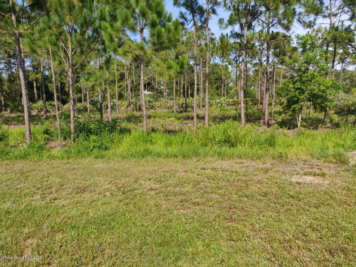 2025 Benjamin Road Grant Valkaria, FL 32950 - Photo 11 of 40 a big yard with lots of green space and plants