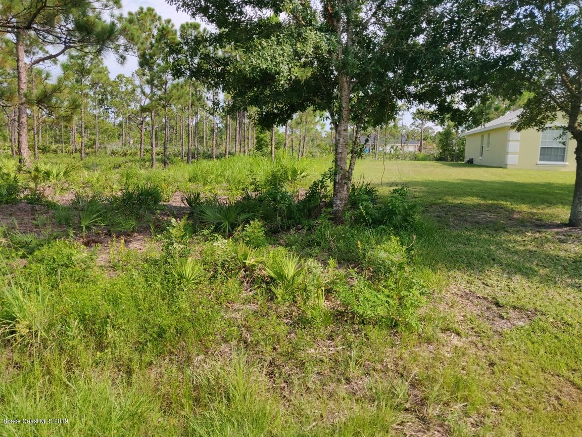 2025 Benjamin Road Grant Valkaria, FL 32950 - Photo 5 of 40 a view of backyard with green space
