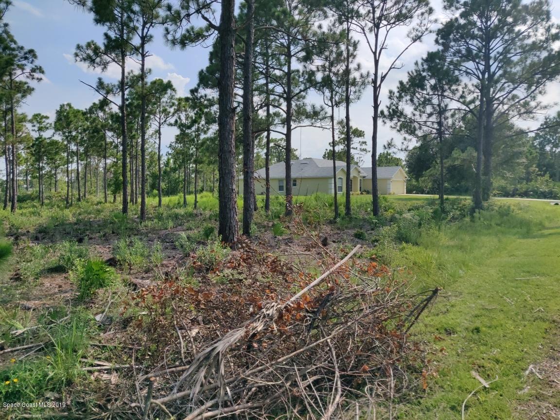 2025 Benjamin Road Grant Valkaria, FL 32950 - Photo 6 of 40 a view of a backyard