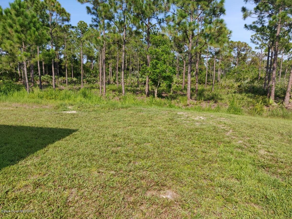 2025 Benjamin Road Grant Valkaria, FL 32950 - Photo 10 of 40 a big yard with lots of green space and trees
