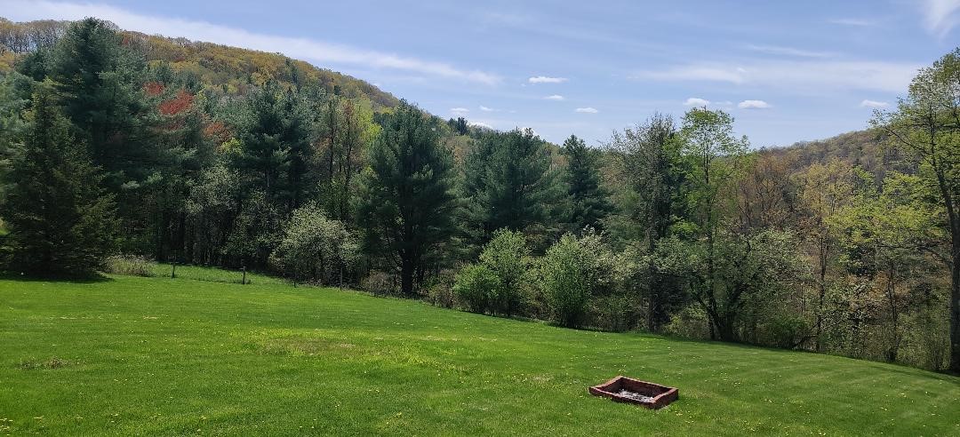 1630 County Route Hornell, NY 14843 - Photo 4 of 27