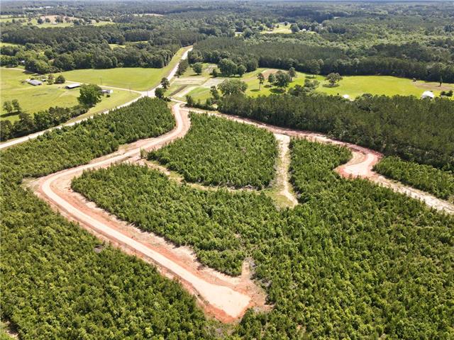 2 436th Highway Angie, LA 70426 - Photo 5 of 19