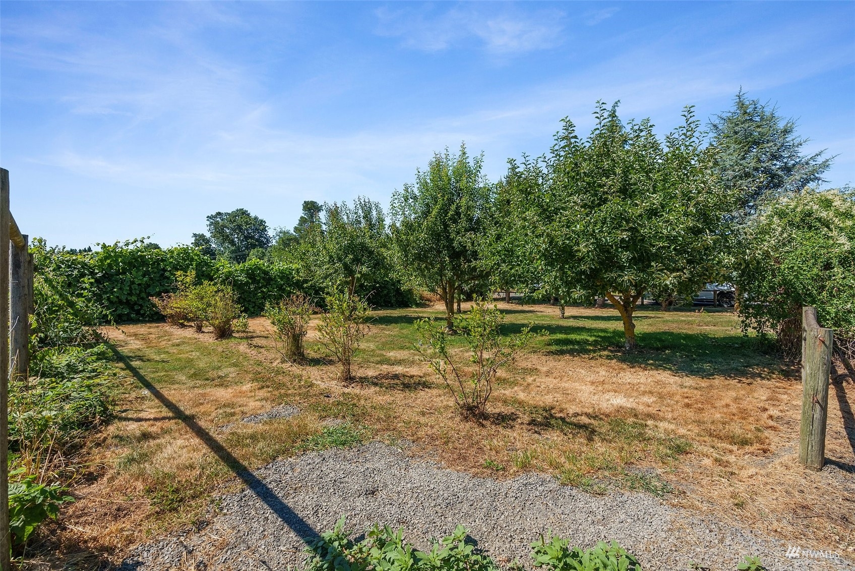 175 Ceres Hill Road Chehalis, WA 98532 - Photo 36 of 36 a view of a park with large trees