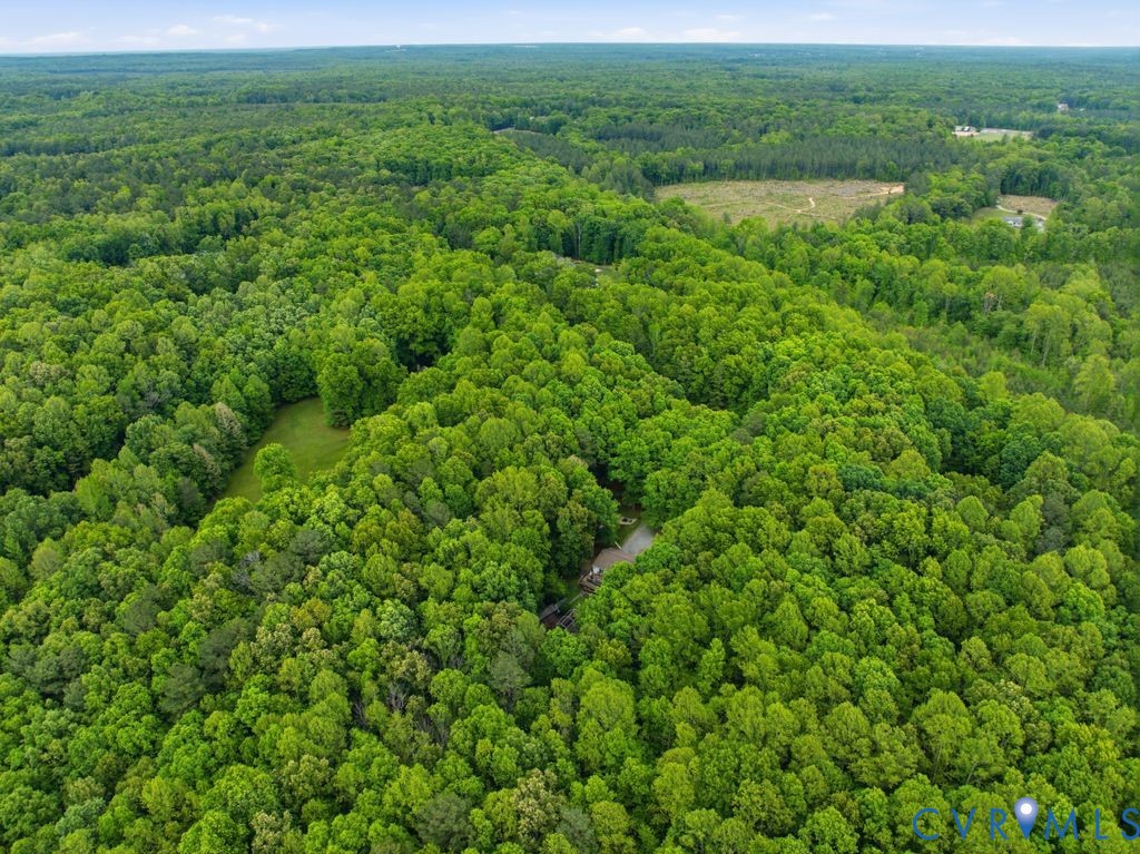 1061 Turkey Ridge Drive Moseley, VA 23120 - Photo 51 of 51 a view of a lush green field