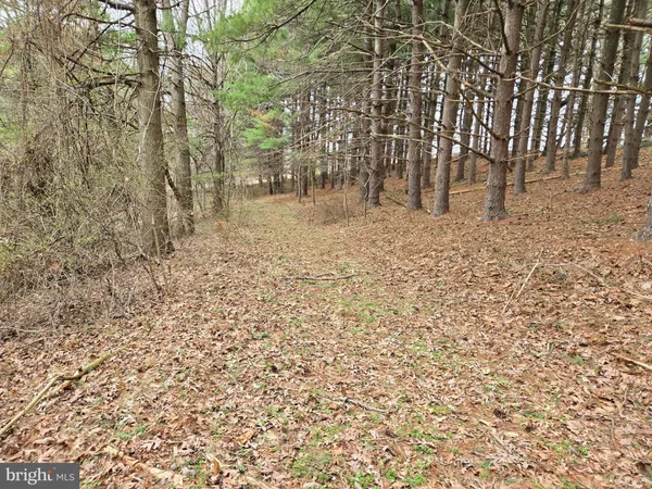 $2,250,000 | Farmington, Woodbine, MD 21797